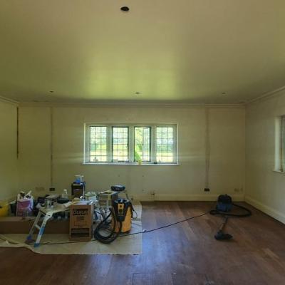 'Mythical Land' Wallpaper (Before)